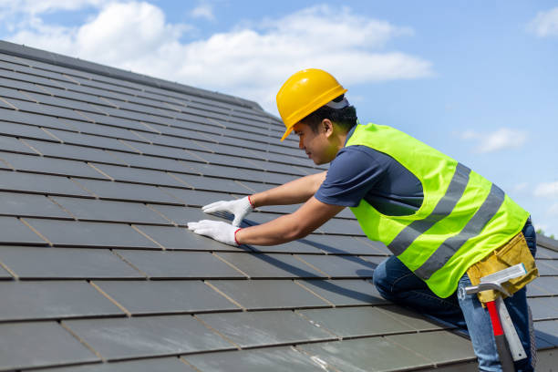 Best Roof Gutter Cleaning  in Roebling, NJ