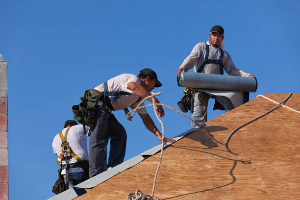 Best Roof Repair Services  in Roebling, NJ